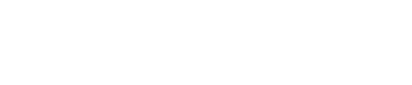 WUB Audit GmbH - Wirtschaftsprüfungsgesellschaft